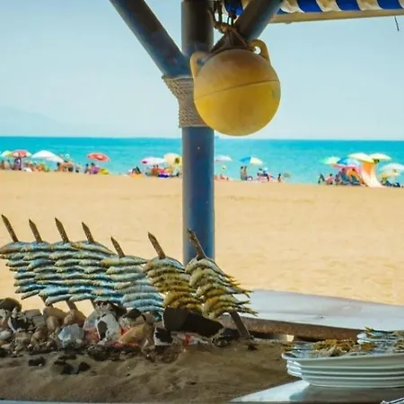 Barberito Dream * Μάλαγα